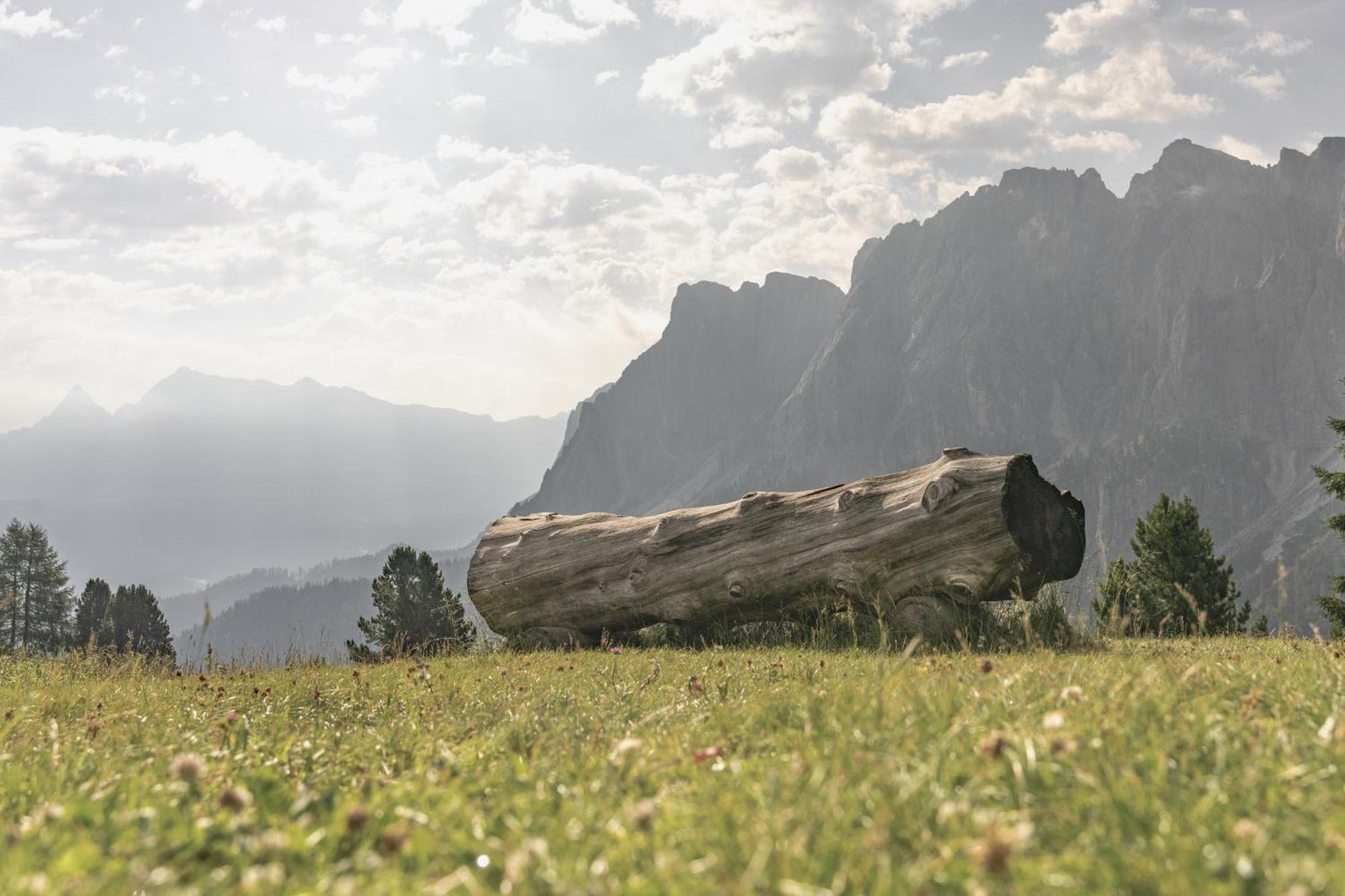 Ciasa Iachin - Dolomites Dream Retreat Apartamento San Martino in Badia Exterior foto