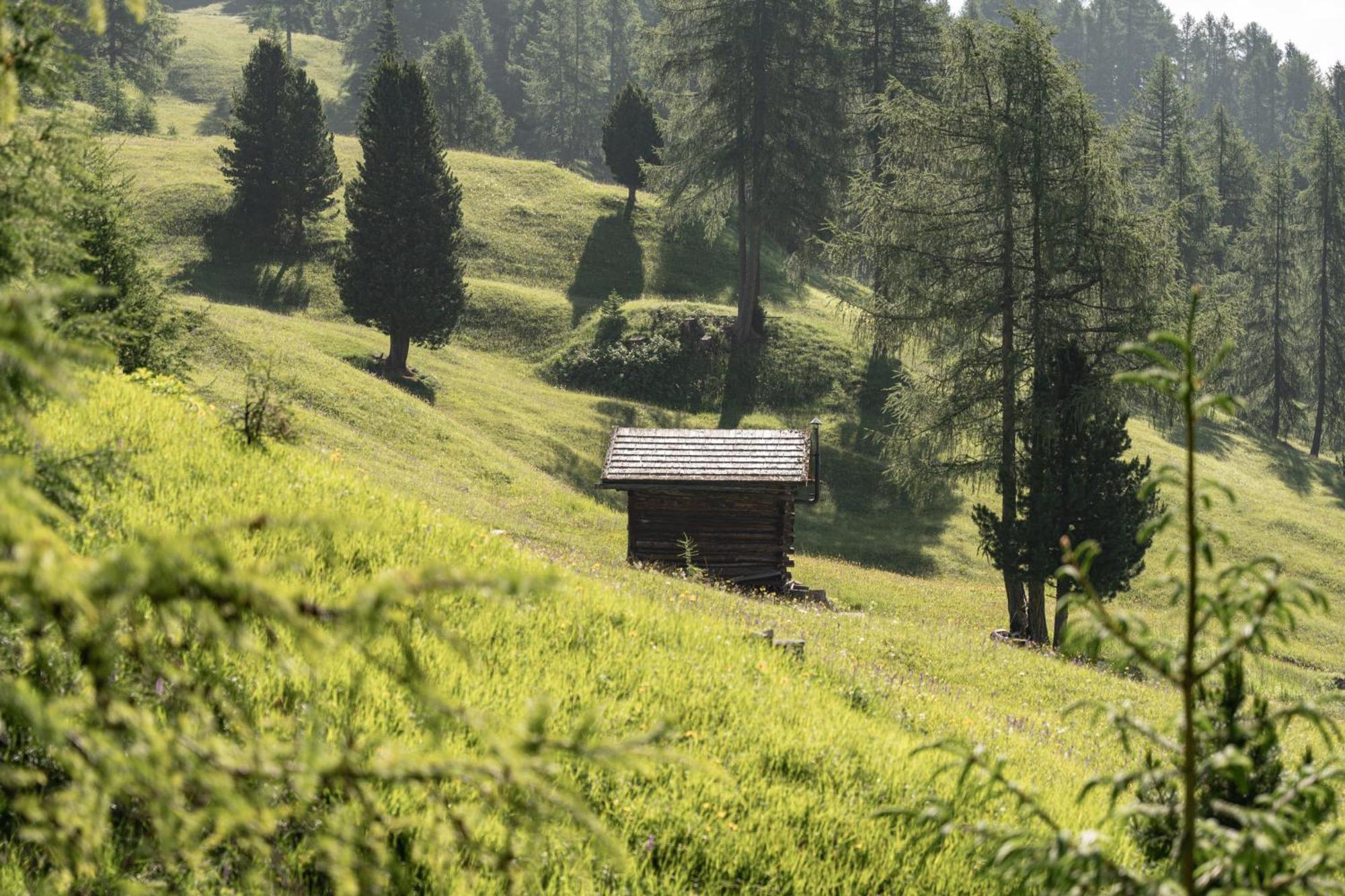 Ciasa Iachin - Dolomites Dream Retreat Apartamento San Martino in Badia Exterior foto