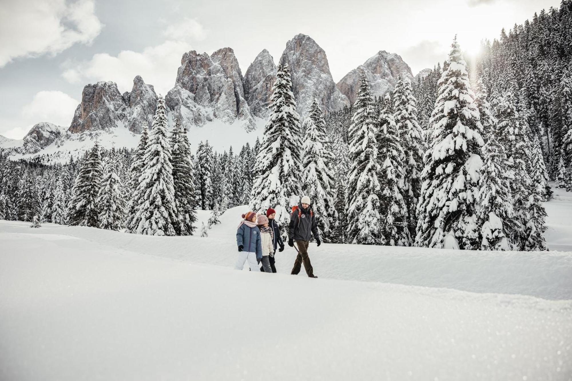 Ciasa Iachin - Dolomites Dream Retreat Apartamento San Martino in Badia Exterior foto