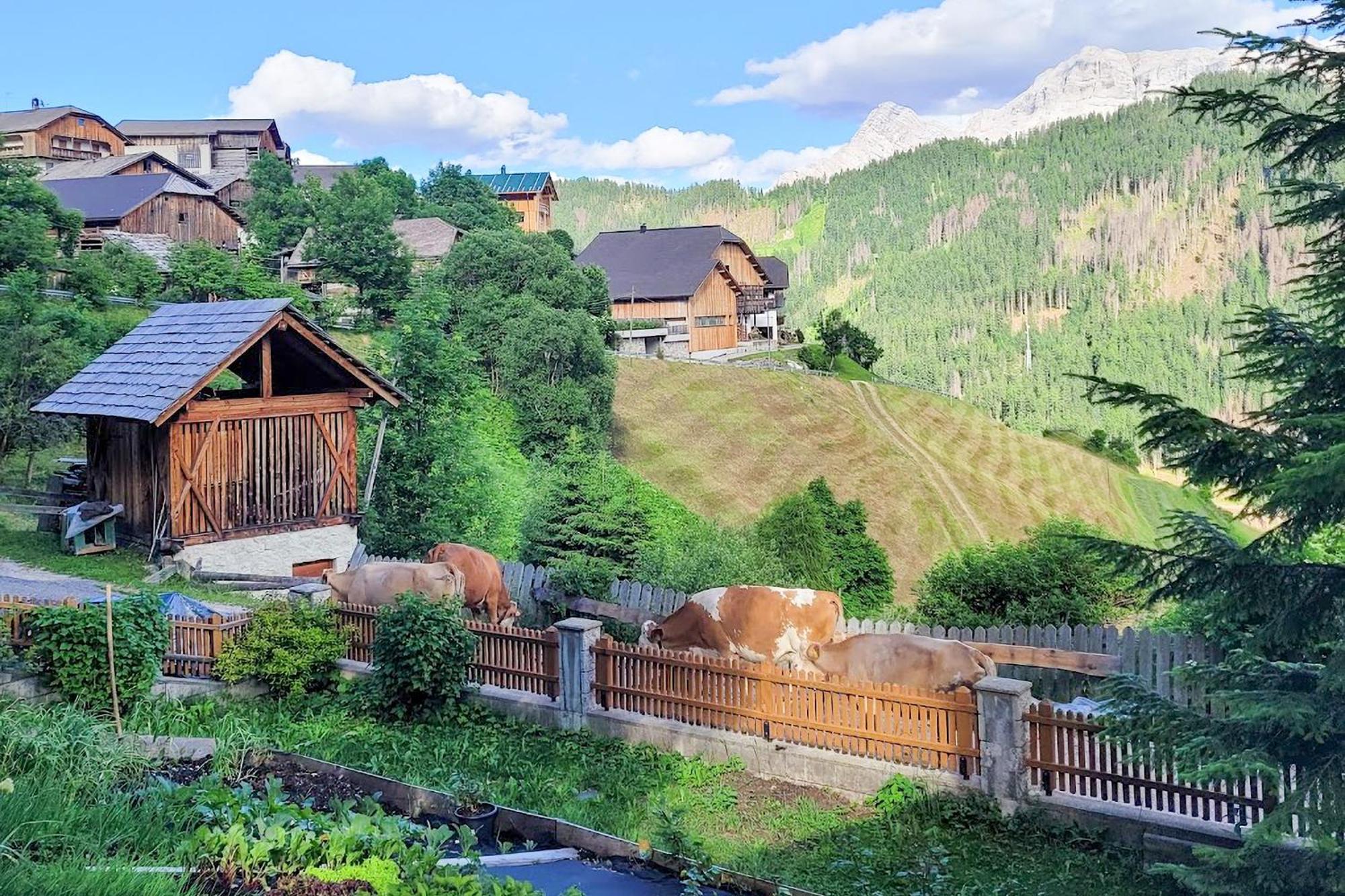 Ciasa Iachin - Dolomites Dream Retreat Apartamento San Martino in Badia Exterior foto