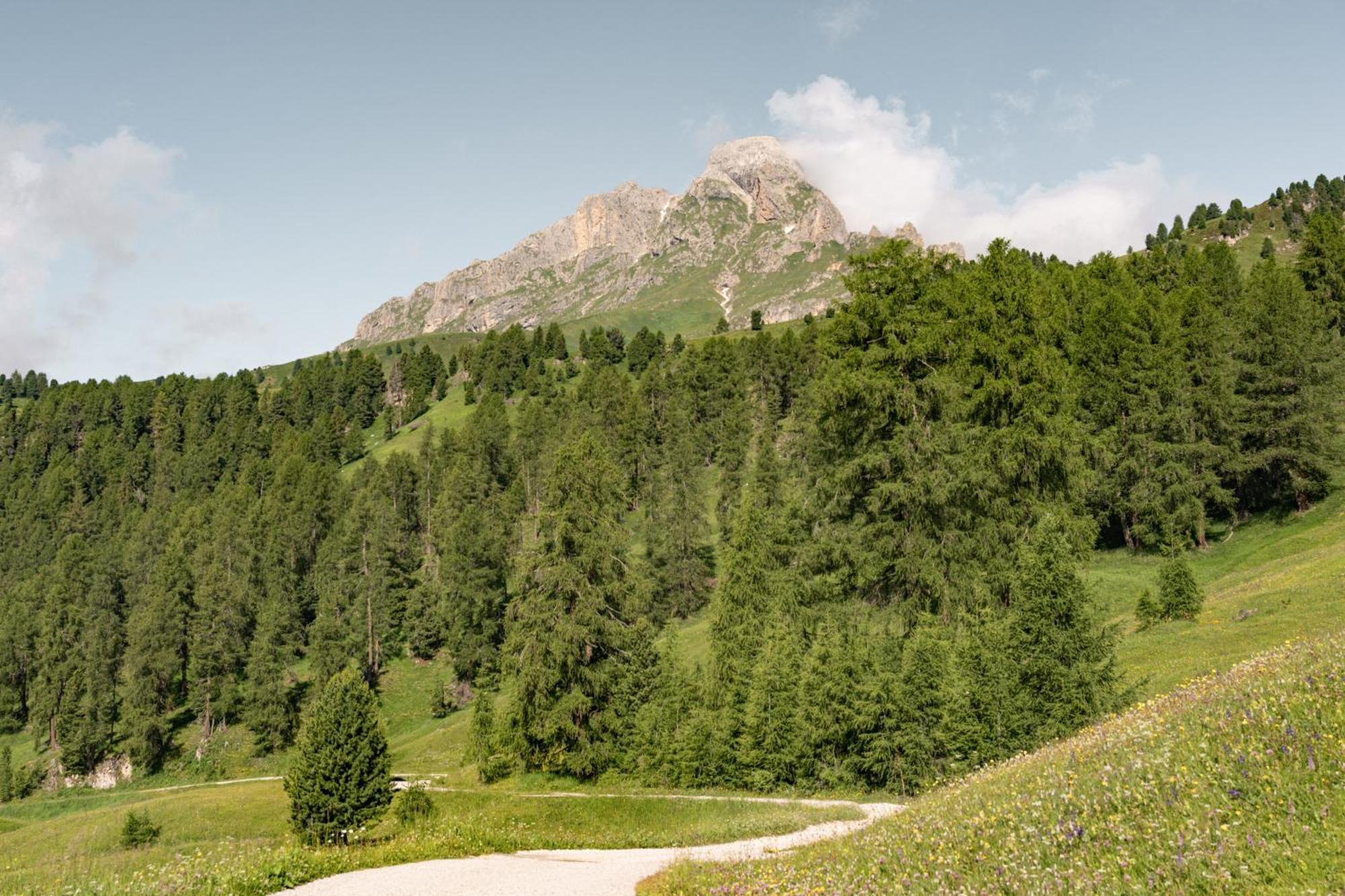 Ciasa Iachin - Dolomites Dream Retreat Apartamento San Martino in Badia Exterior foto