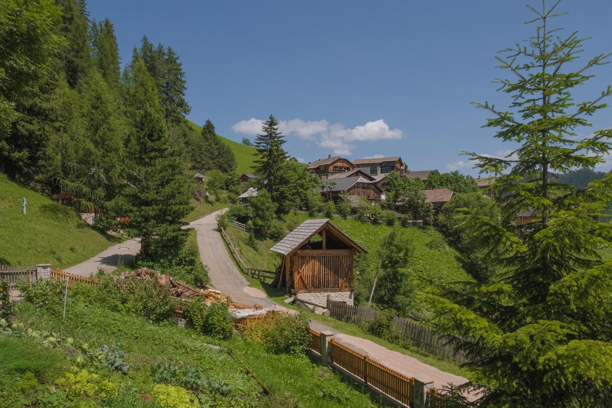 Ciasa Iachin - Dolomites Dream Retreat Apartamento San Martino in Badia Exterior foto